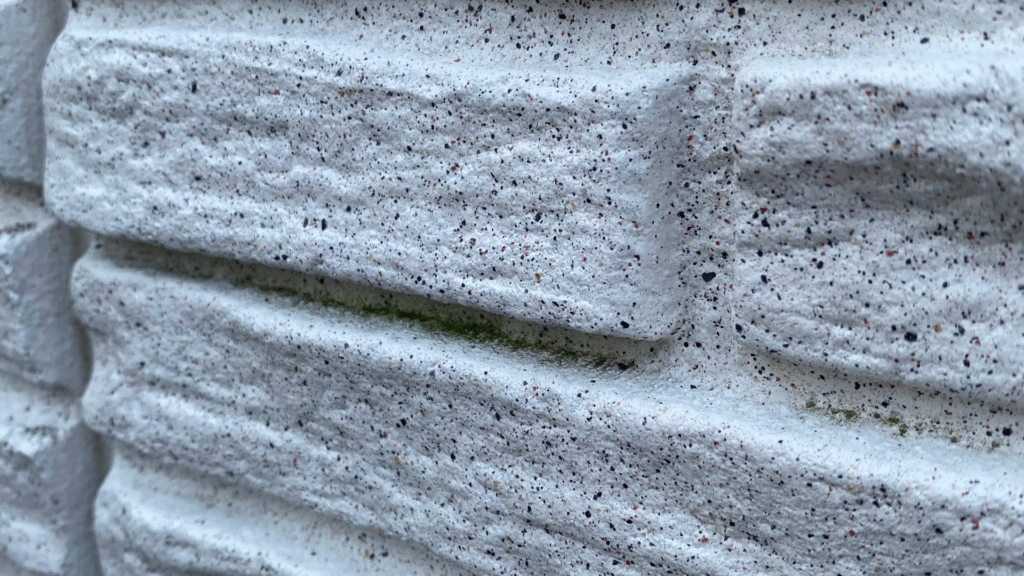 ダインコンクリート 苔